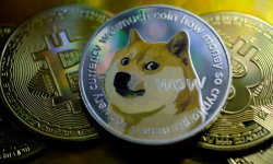 Picture for The Dogecoin saga continues...