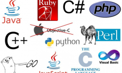 Picture for Top 20 Programming Languages