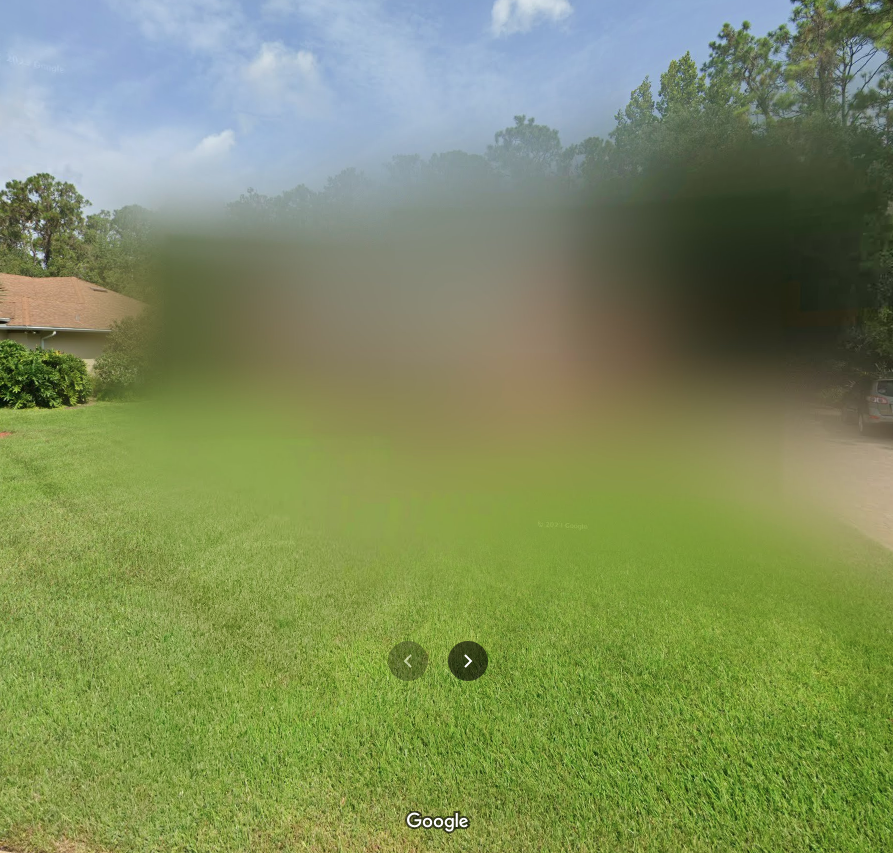 My blurred out house image from Google Maps
